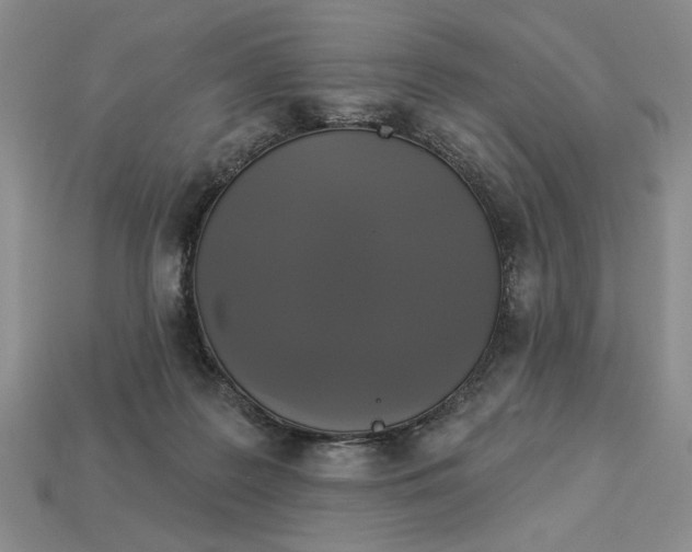 X0000112910219200909141258