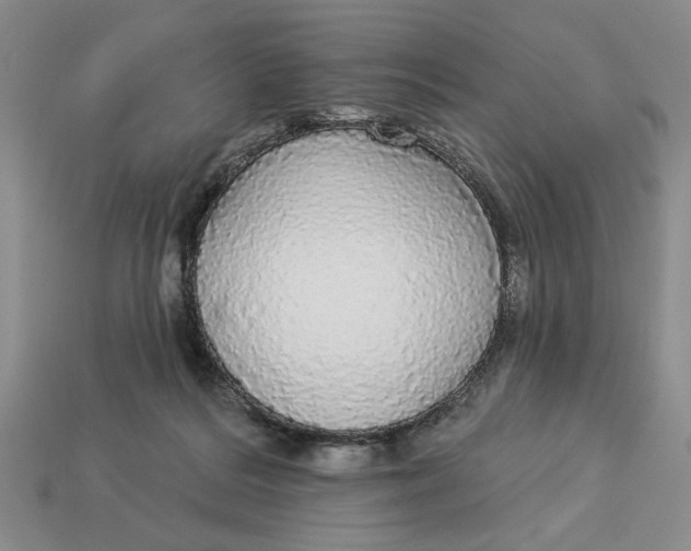 X0000112910220200909141258