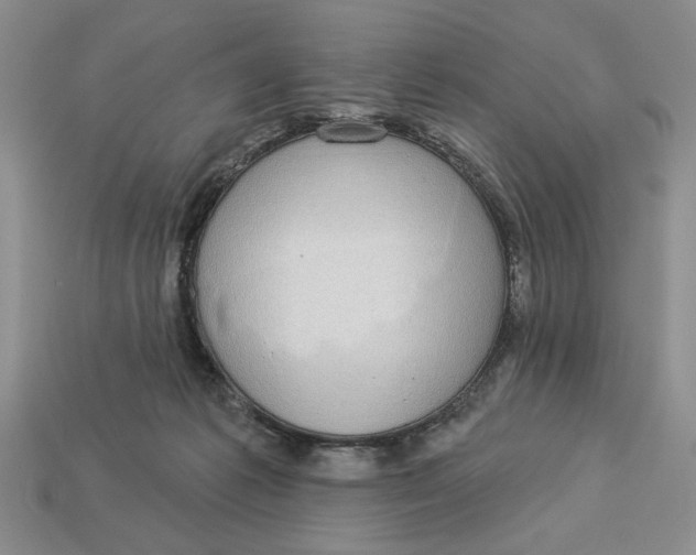 X0000112910221200909141258