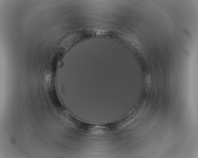 X0000112910222200909141258