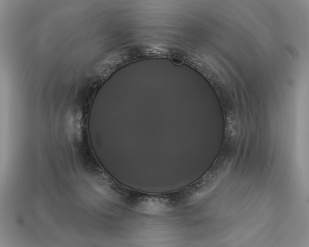 X0000112910223200909141258