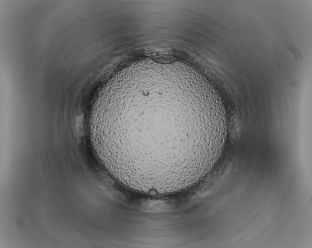 X0000112910224200909141258