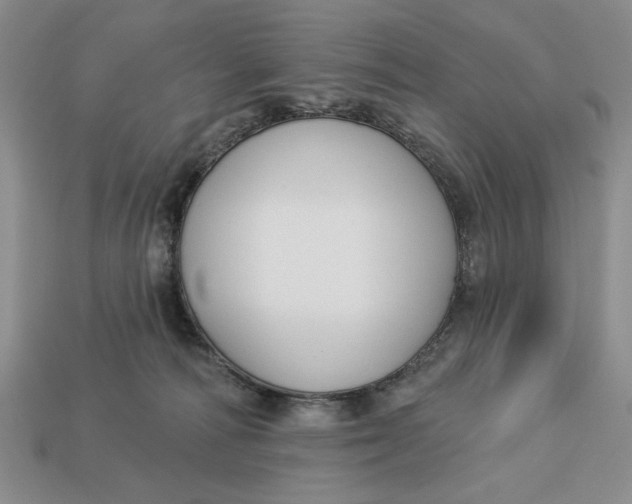 X0000112910226200909141258