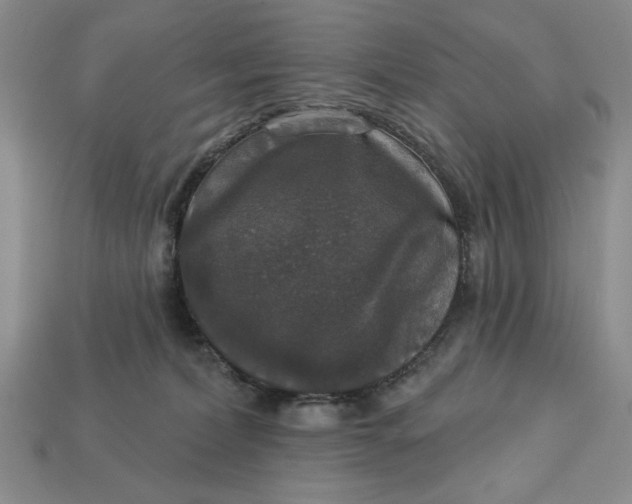 X0000112910228200909141258