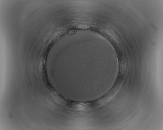 X0000112910229200909141258