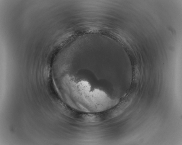 X0000112910230200909141258