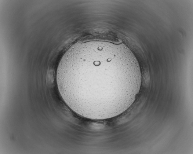 X0000112910232200909141258