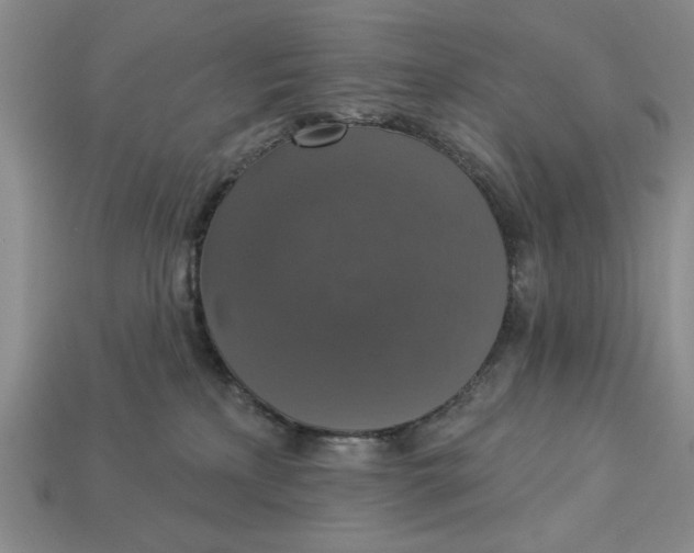 X0000112910233200909141258