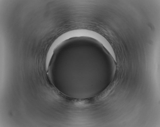 X0000112910235200909141258