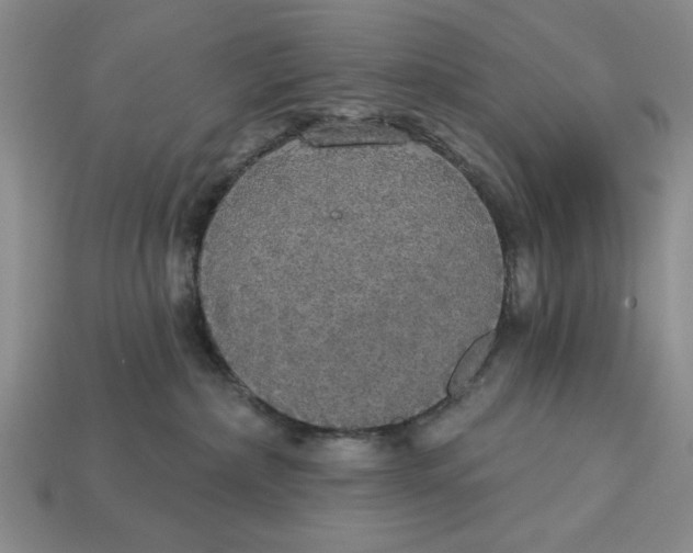 X0000112910236200909141258