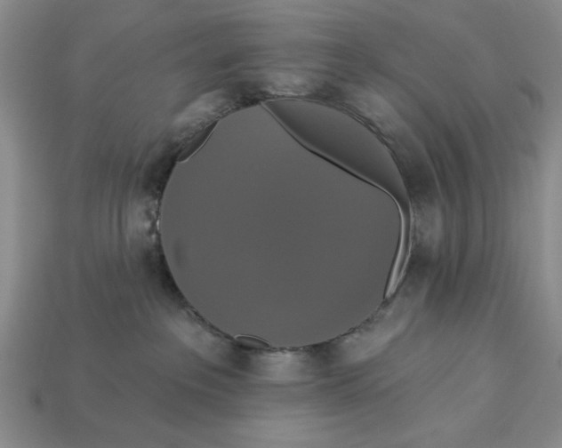 X0000112910237200909141257