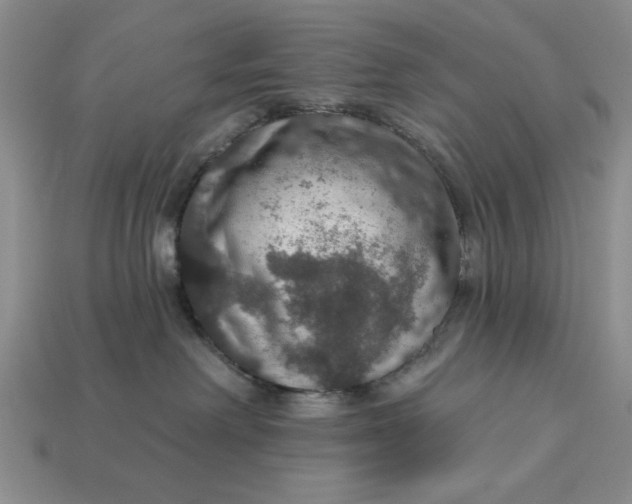 X0000112910238200909141257