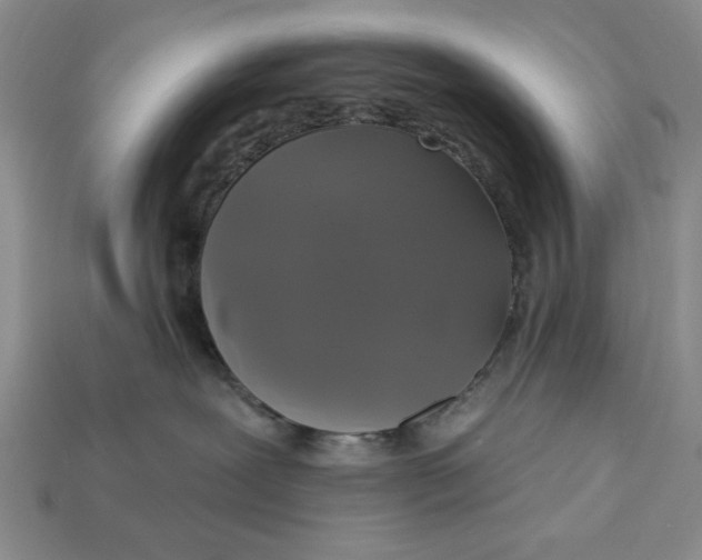 X0000112910239200909141257