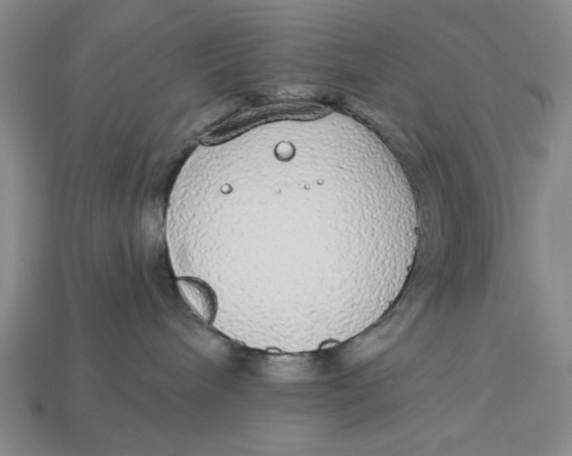 X0000112910240200909141257