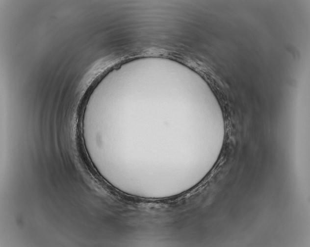 X0000112910242200909141257