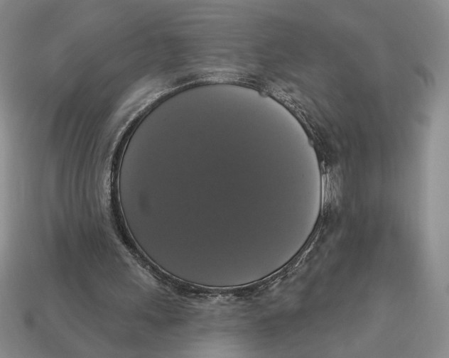 X0000112910243200909141257