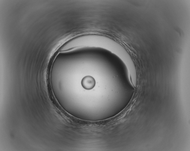 X0000112910244200909141257