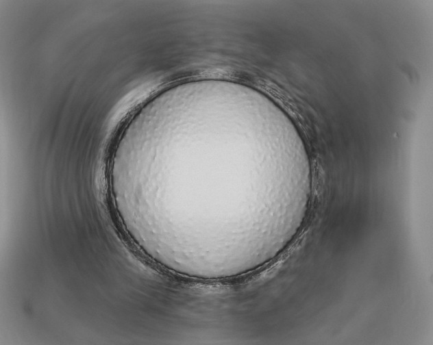 X0000112910245200909141257