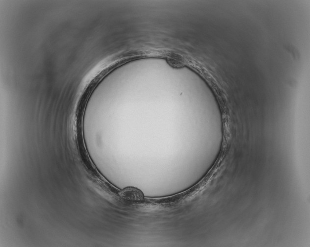 X0000112910246200909141257