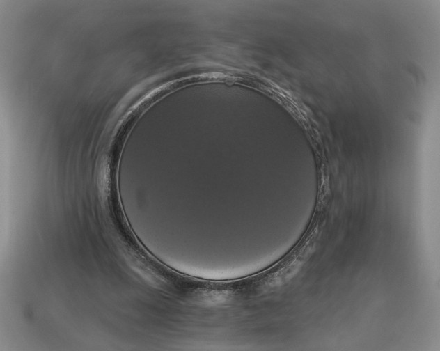 X0000112910247200909141257