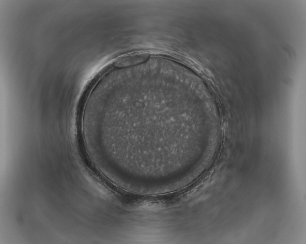 X0000112910248200909141257