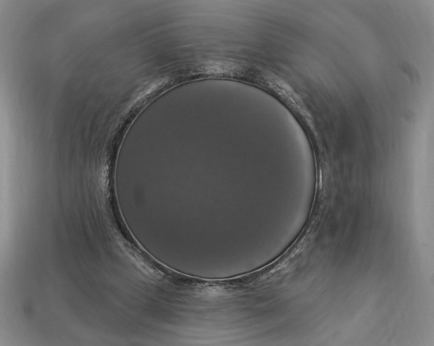 X0000112910249200909141257