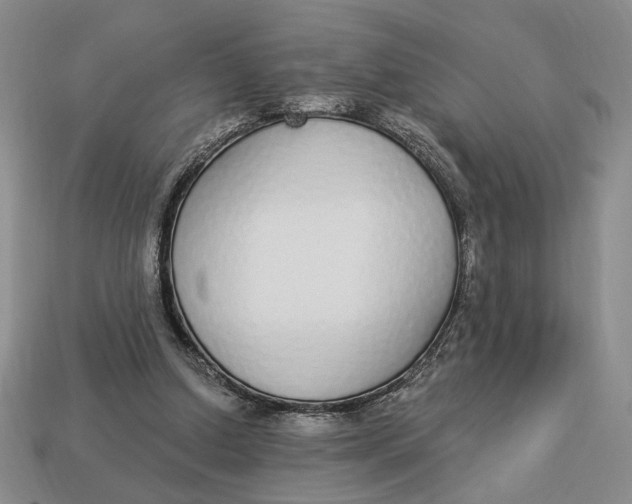 X0000112910250200909141257