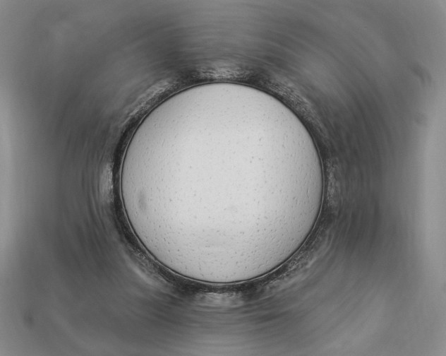 X0000112910251200909141257