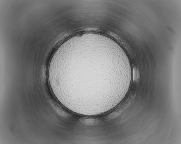 X0000112910253200909141257