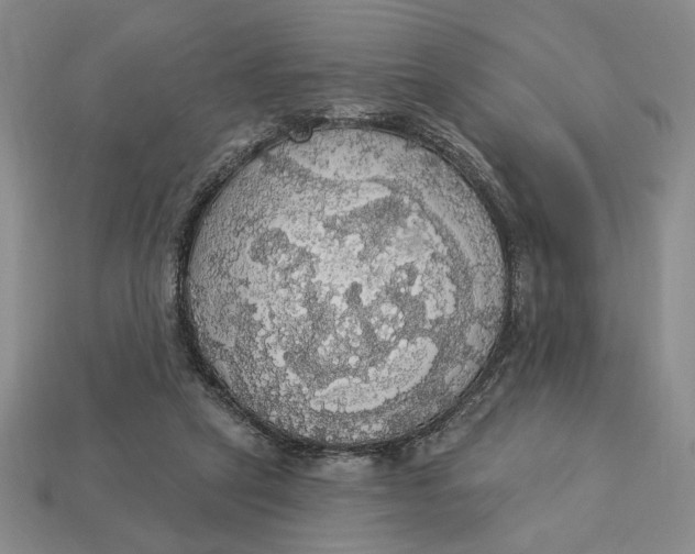 X0000112910257200909141257