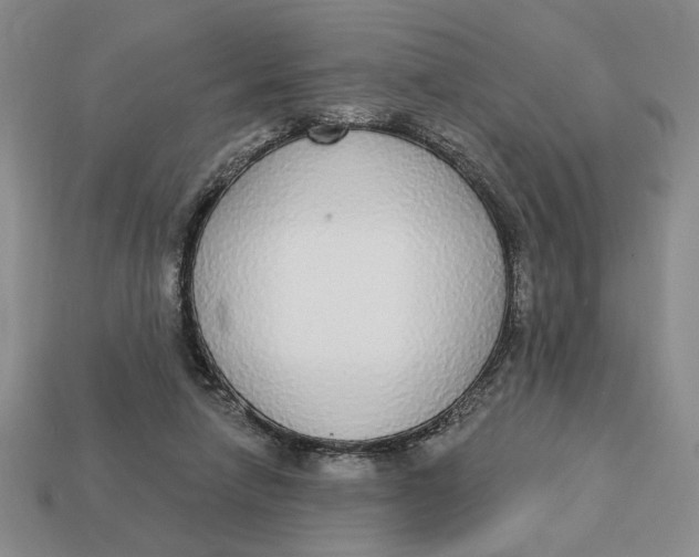 X0000112910258200909141257