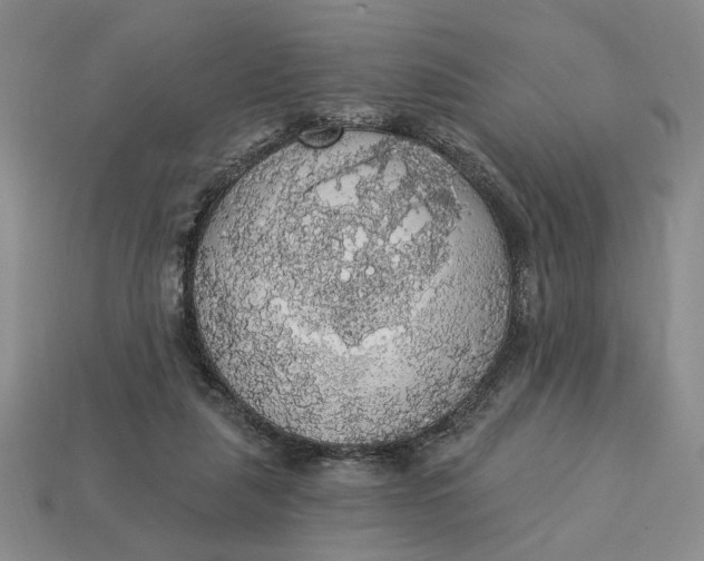 X0000112910259200909141257