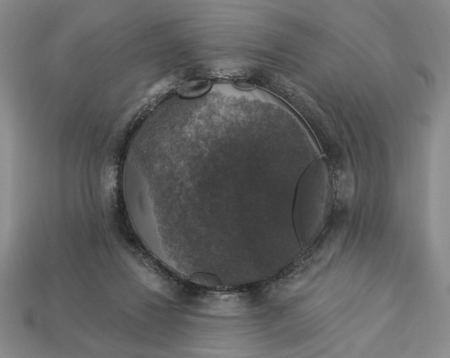 X0000112910260200909141257