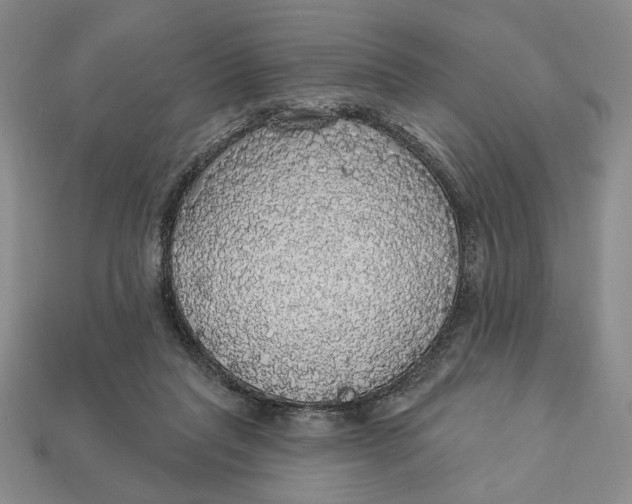 X0000112910261200909141257