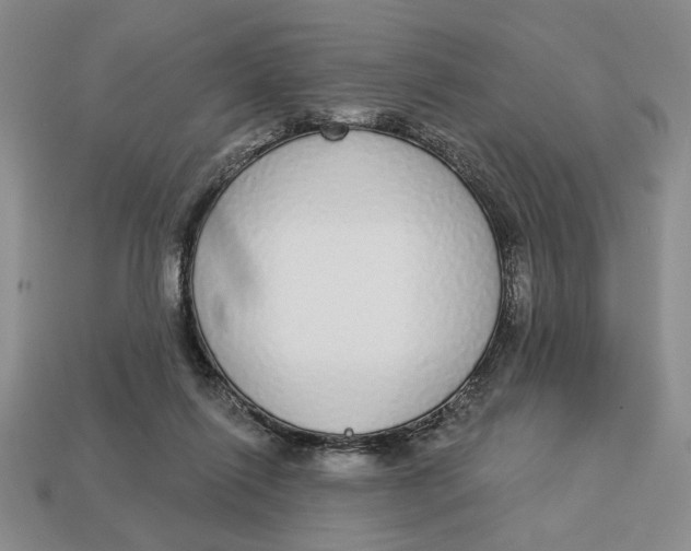 X0000112910262200909141257