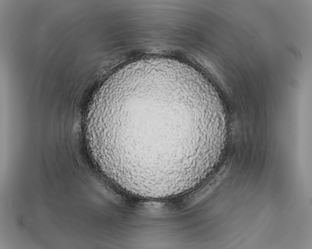 X0000112910265200909141257