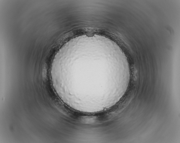 X0000112910266200909141257