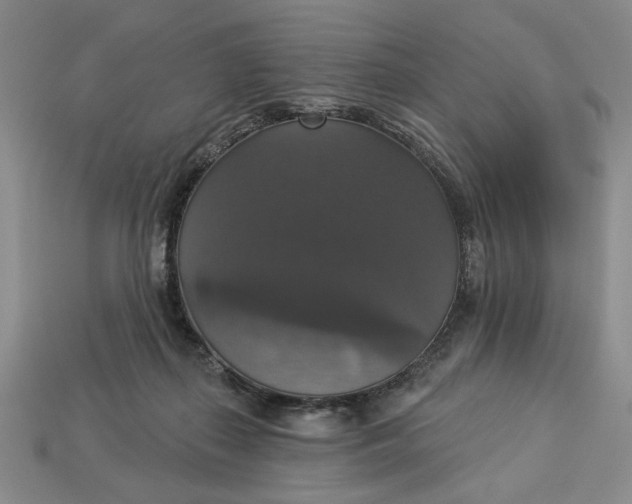 X0000112910267200909141257