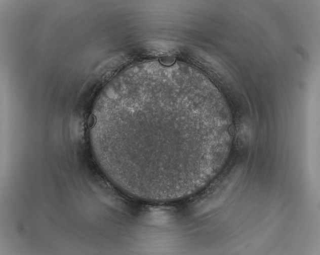 X0000112910268200909141257