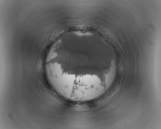 X0000112910270200909141257