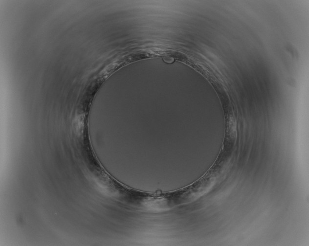 X0000112910271200909141257