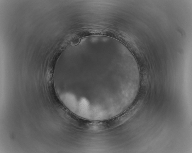 X0000112910273200909141257