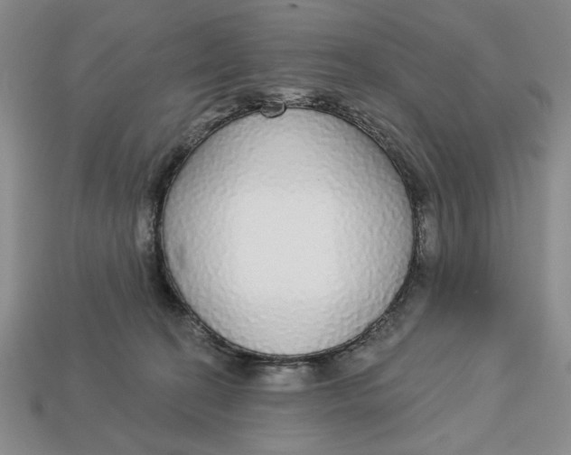 X0000112910274200909141257