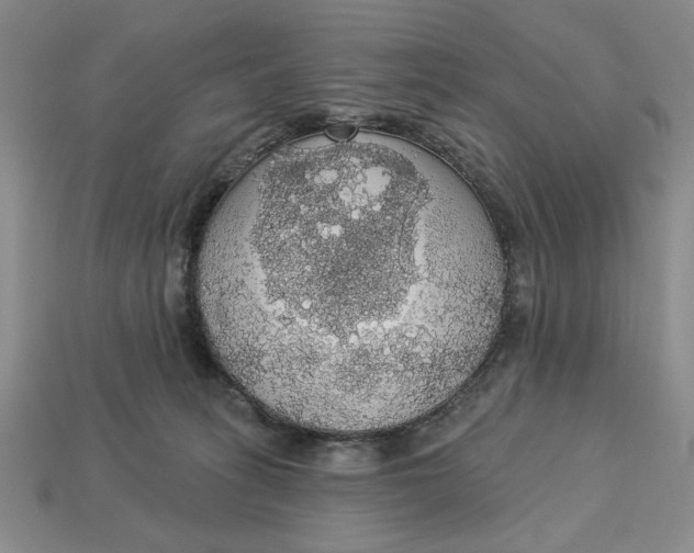 X0000112910275200909141257