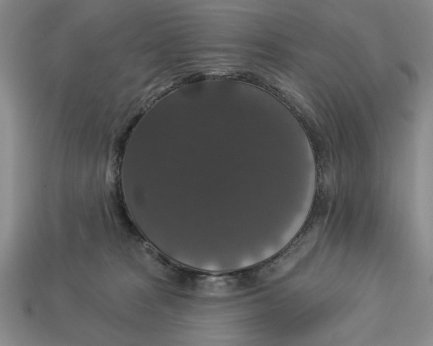 X0000112910277200909141257