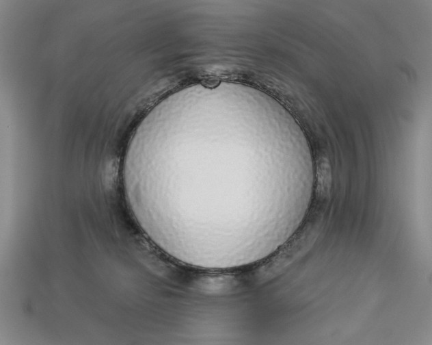 X0000112910278200909141257