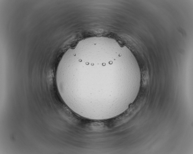 X0000112910279200909141257