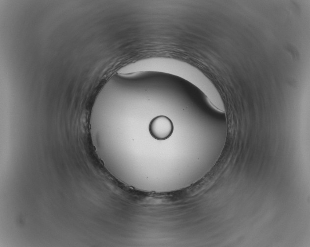 X0000112910280200909141257