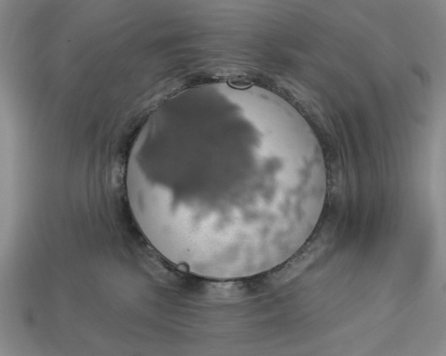 X0000112910281200909141257