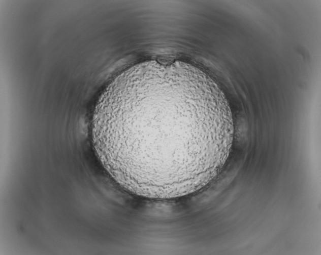 X0000112910282200909141257